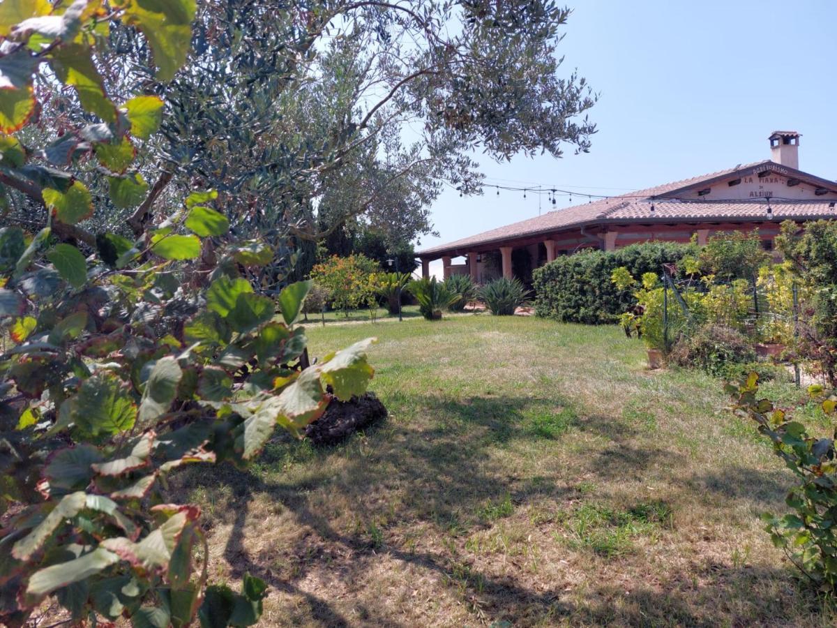 La Piana Di Alsium Villa Ладисполи Екстериор снимка
