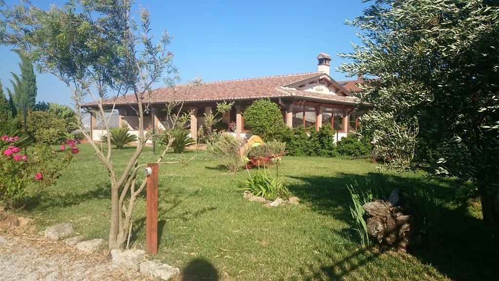 La Piana Di Alsium Villa Ладисполи Екстериор снимка